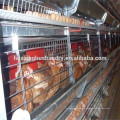 2015 nouvelles cages de type pour poulets de chair